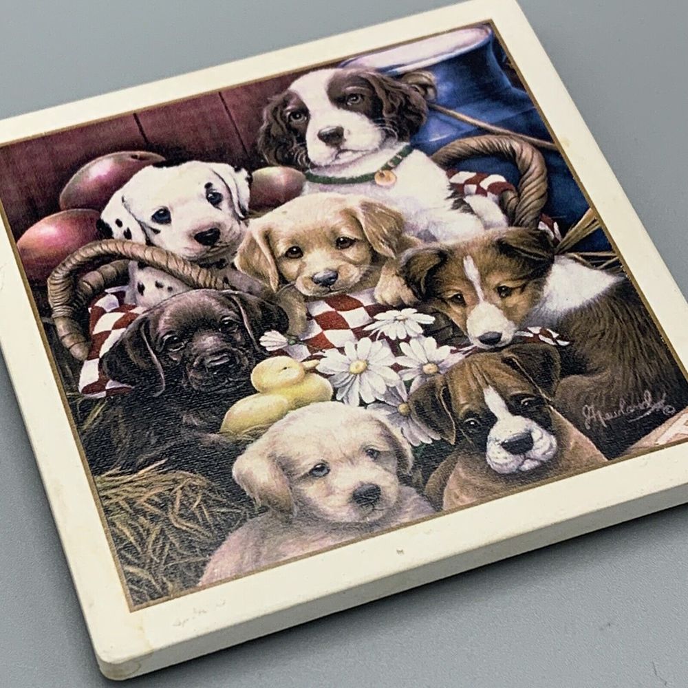 AbsorbaStone The Absorbent Coaster Tile Set of 4 Puppies Dogs Black Lab Collie